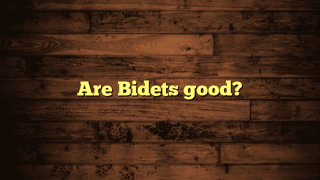 Are Bidets good?