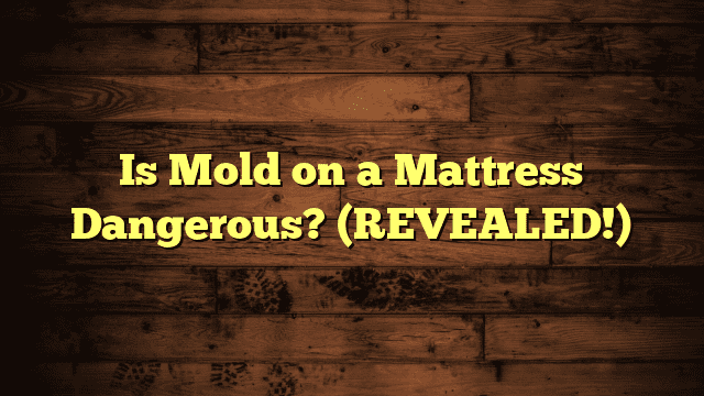 Is Mold on a Mattress Dangerous? (REVEALED!)