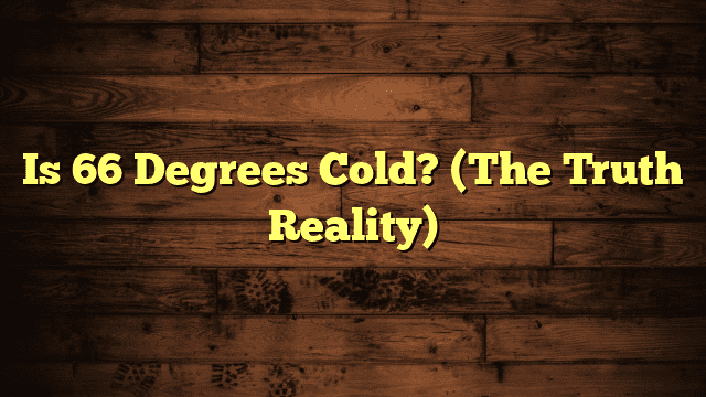 Is 66 Degrees Cold? (The Truth Reality)