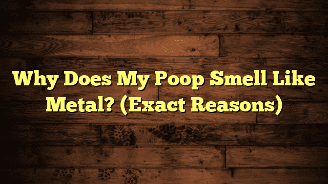 Why Does My Poop Smell Like Metal? (Exact Reasons)