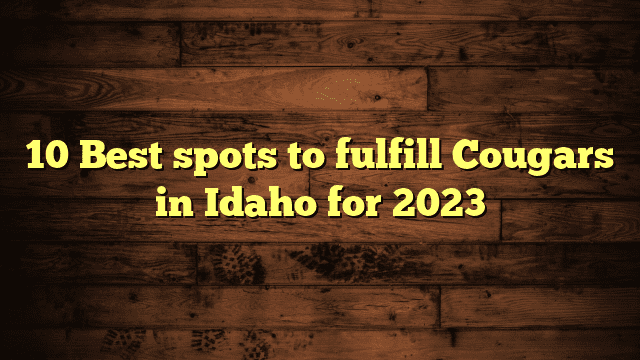 10 Best spots to fulfill Cougars in Idaho for 2023