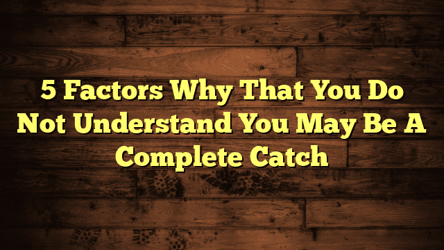 5 Factors Why That You Do Not Understand You May Be A Complete Catch