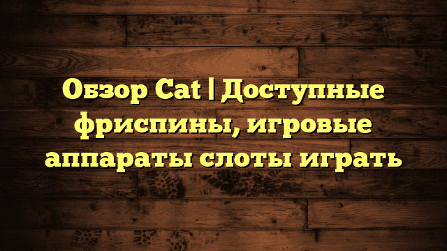 Обзор Cat | Доступные фриспины, игровые аппараты слоты играть