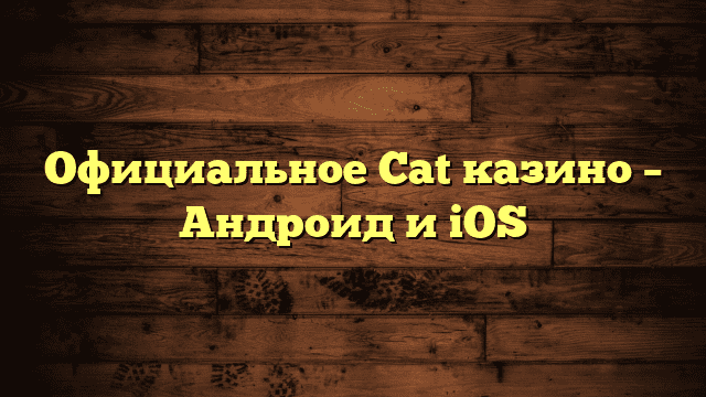 Официальное Cat казино – Андроид и iOS